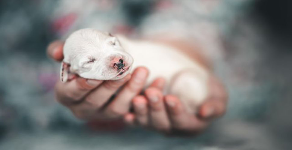 A new life begins for my dear friend.