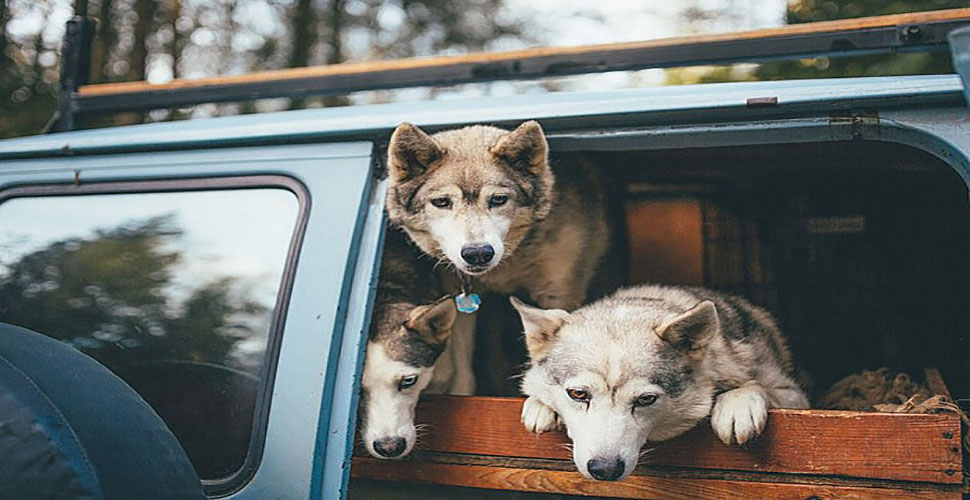 How lovely these adorable friends are together!